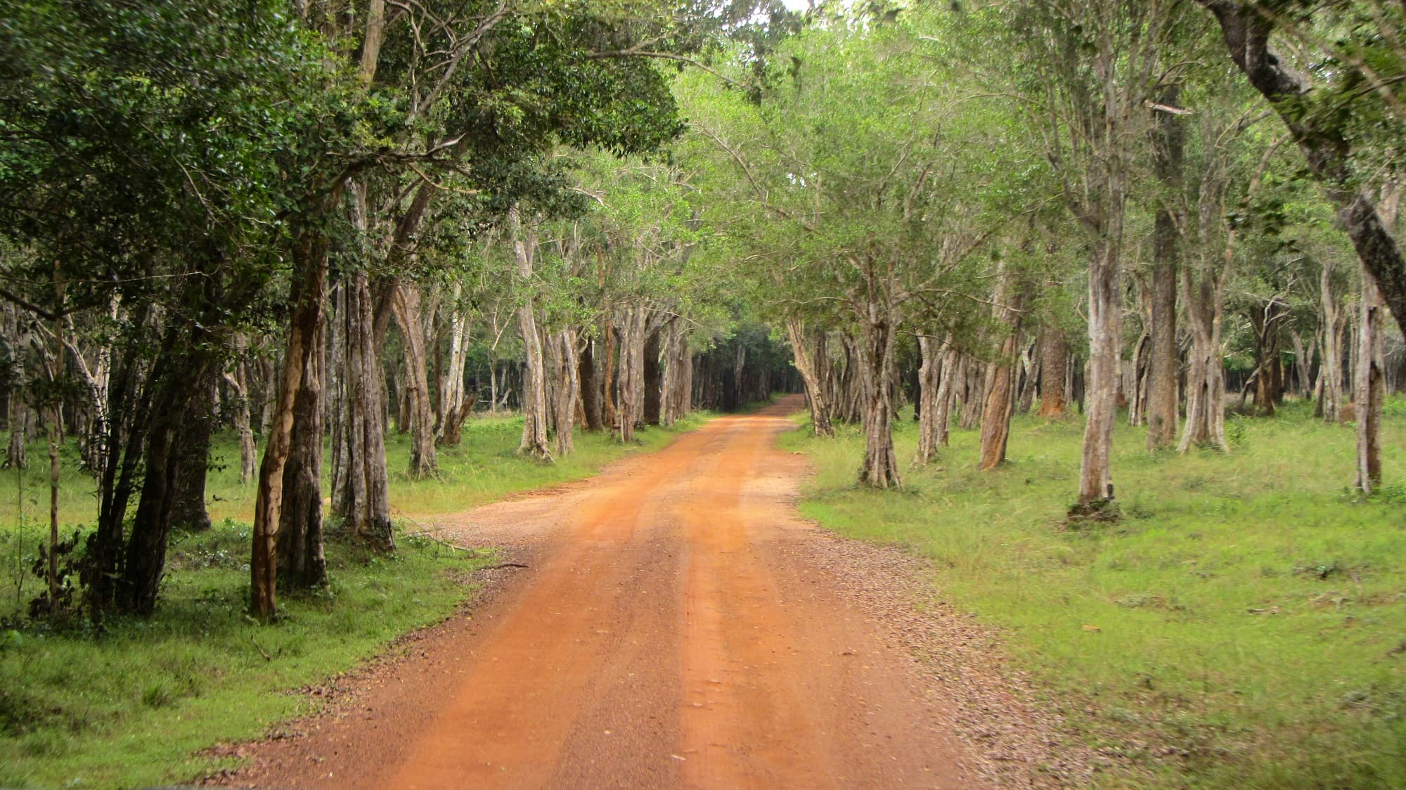 Wilpattu, Sri Lanka
