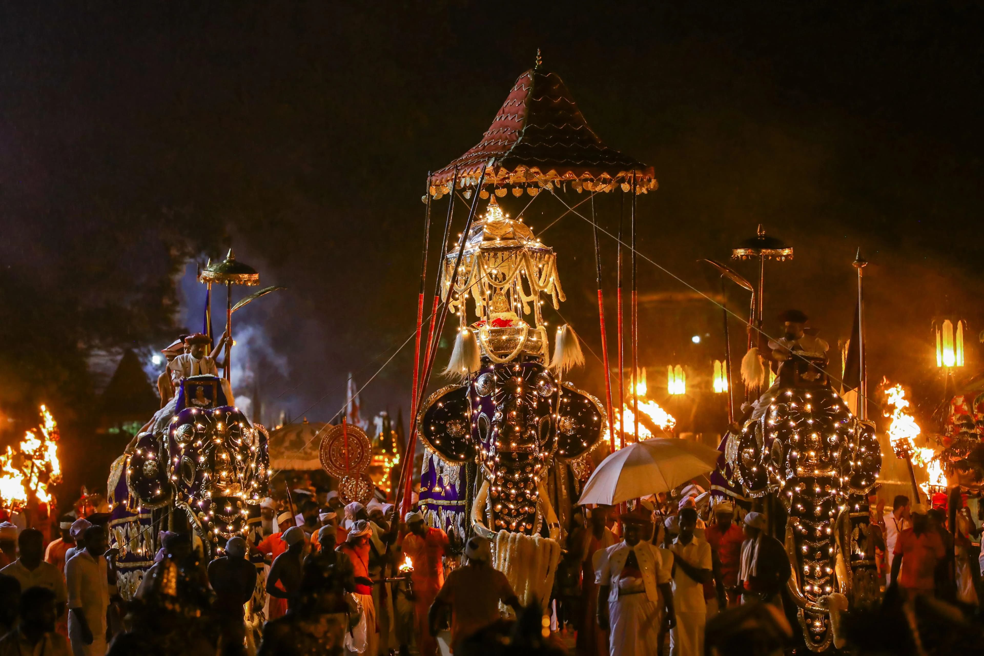 Illuminated ceremonial procession during the Kandy Esala Perahera