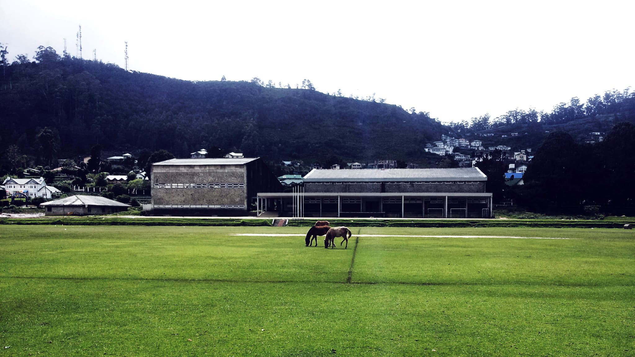 Horse Riding in Nuwara Eliya — view 5